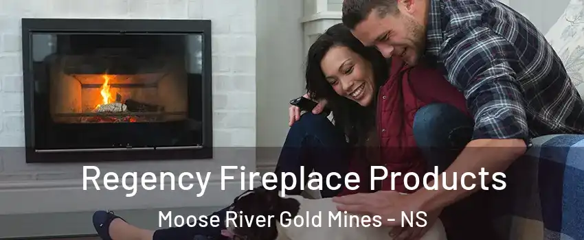  Regency Fireplace Products Moose River Gold Mines - NS