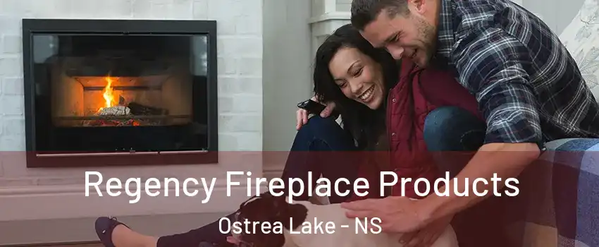  Regency Fireplace Products Ostrea Lake - NS