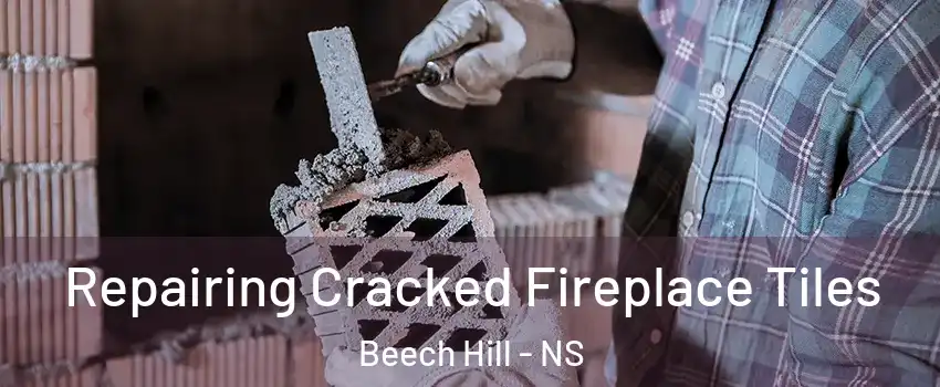  Repairing Cracked Fireplace Tiles Beech Hill - NS