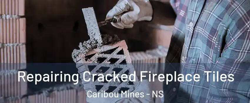  Repairing Cracked Fireplace Tiles Caribou Mines - NS