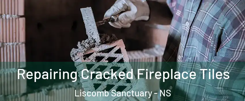  Repairing Cracked Fireplace Tiles Liscomb Sanctuary - NS