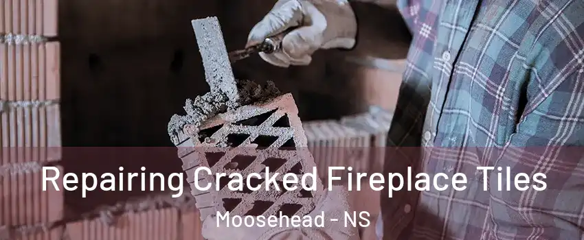  Repairing Cracked Fireplace Tiles Moosehead - NS