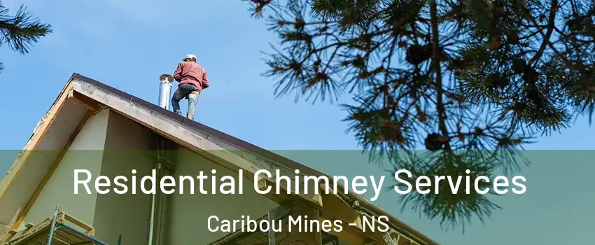 Residential Chimney Services Caribou Mines - NS