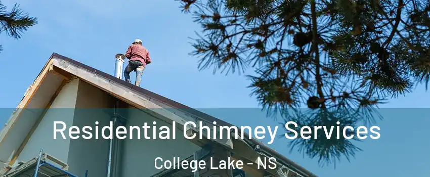  Residential Chimney Services College Lake - NS