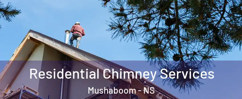  Residential Chimney Services Mushaboom - NS