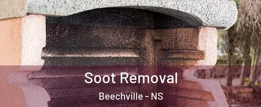  Soot Removal Beechville - NS