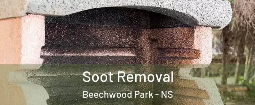  Soot Removal Beechwood Park - NS
