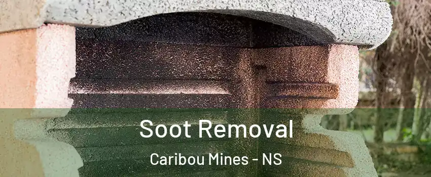  Soot Removal Caribou Mines - NS