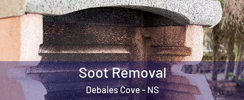  Soot Removal Debaies Cove - NS
