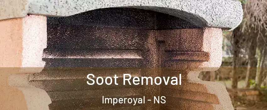  Soot Removal Imperoyal - NS