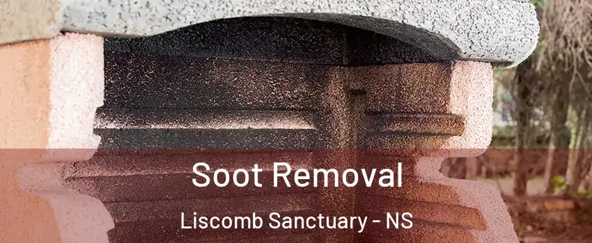  Soot Removal Liscomb Sanctuary - NS