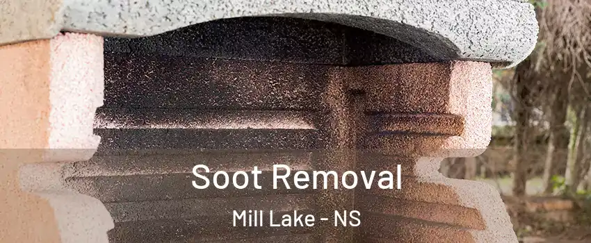  Soot Removal Mill Lake - NS