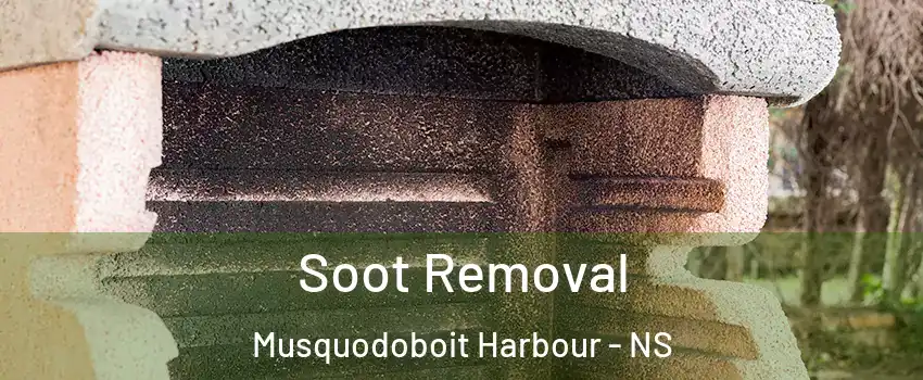  Soot Removal Musquodoboit Harbour - NS