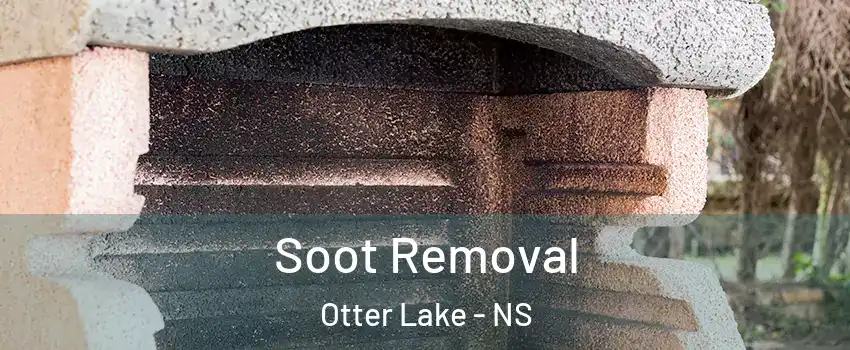  Soot Removal Otter Lake - NS