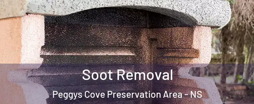  Soot Removal Peggys Cove Preservation Area - NS
