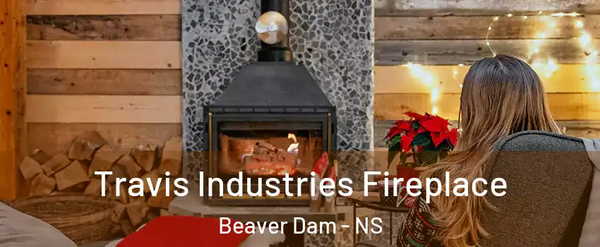  Travis Industries Fireplace Beaver Dam - NS