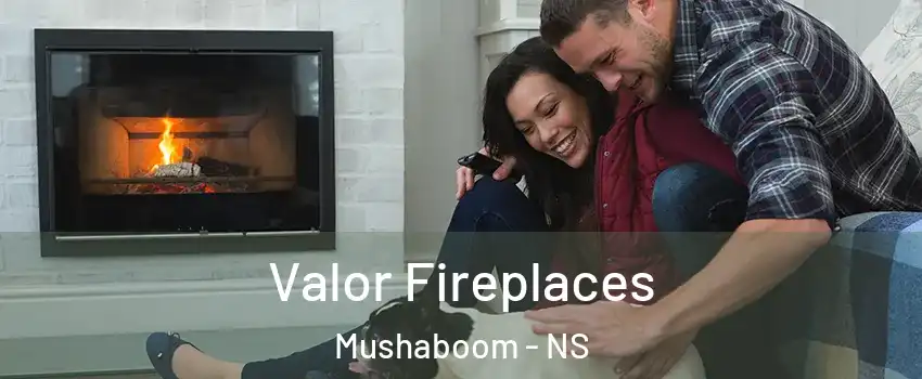  Valor Fireplaces Mushaboom - NS