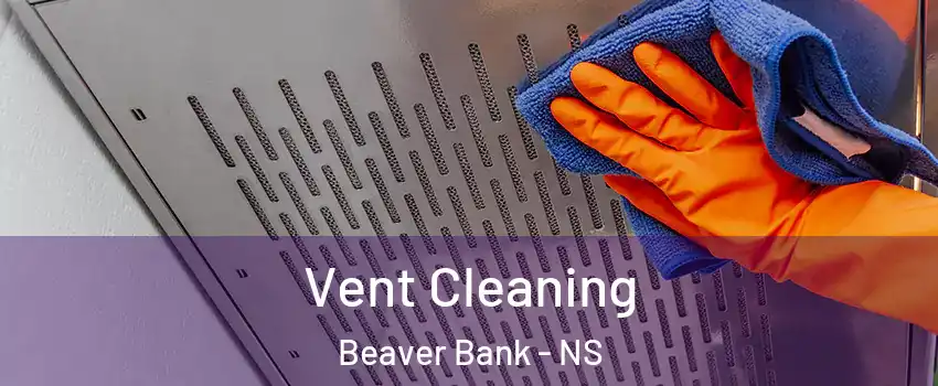  Vent Cleaning Beaver Bank - NS