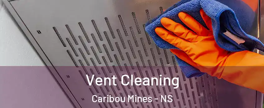  Vent Cleaning Caribou Mines - NS