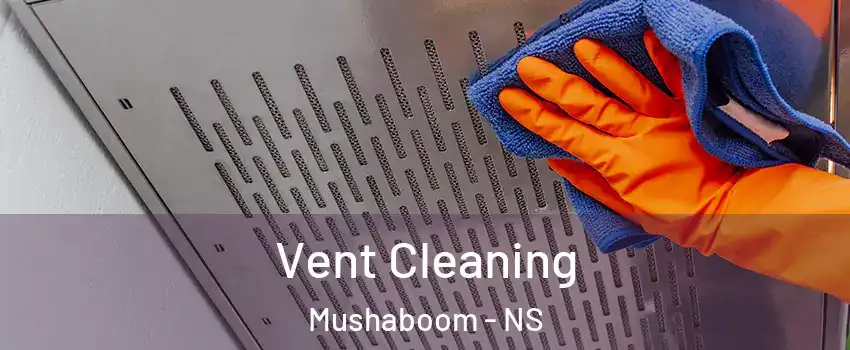  Vent Cleaning Mushaboom - NS