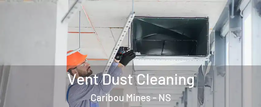  Vent Dust Cleaning Caribou Mines - NS