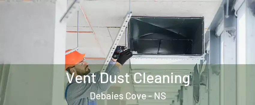  Vent Dust Cleaning Debaies Cove - NS