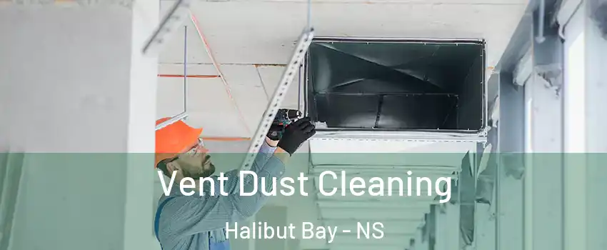  Vent Dust Cleaning Halibut Bay - NS