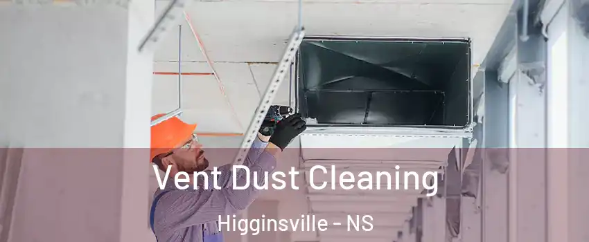  Vent Dust Cleaning Higginsville - NS