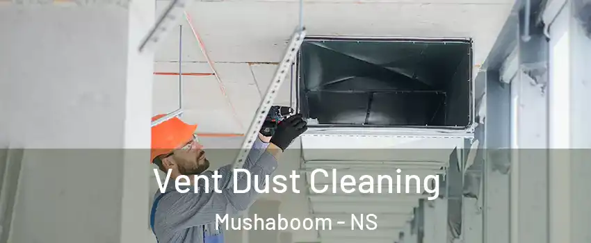  Vent Dust Cleaning Mushaboom - NS