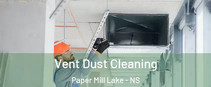  Vent Dust Cleaning Paper Mill Lake - NS