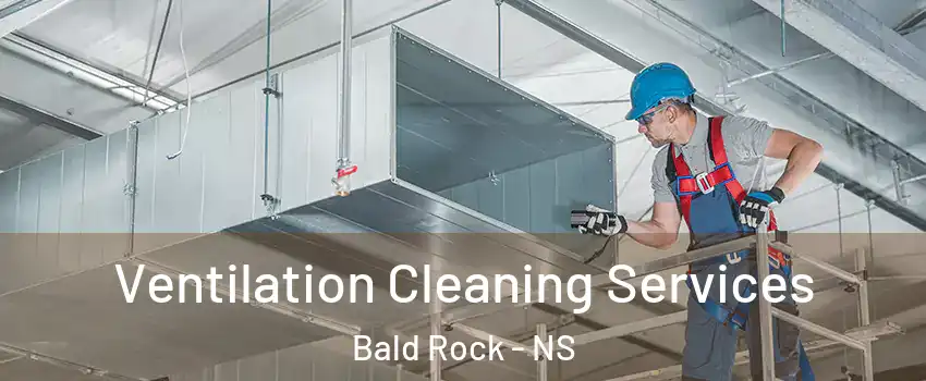  Ventilation Cleaning Services Bald Rock - NS