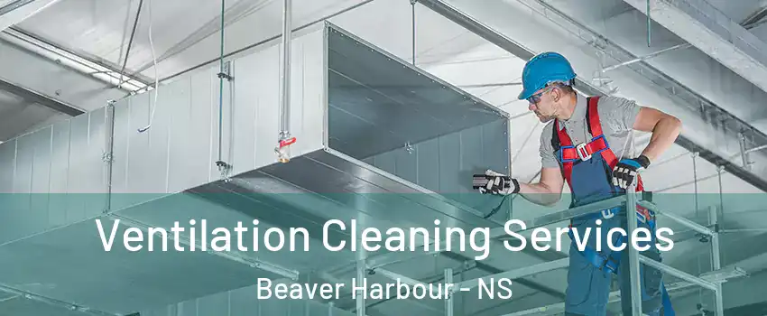  Ventilation Cleaning Services Beaver Harbour - NS