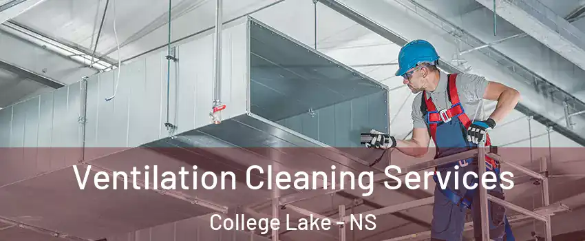  Ventilation Cleaning Services College Lake - NS