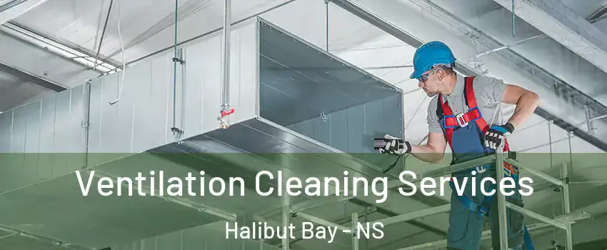  Ventilation Cleaning Services Halibut Bay - NS