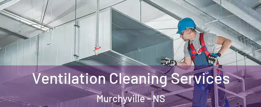  Ventilation Cleaning Services Murchyville - NS