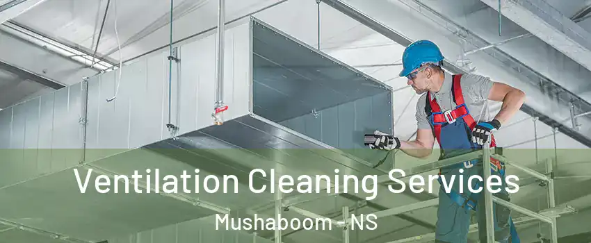 Ventilation Cleaning Services Mushaboom - NS