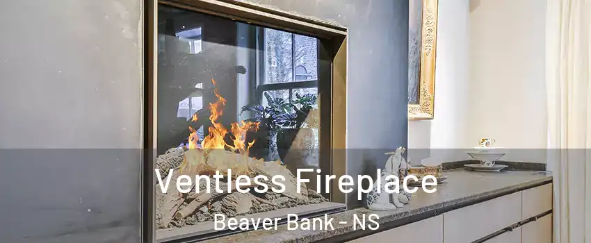  Ventless Fireplace Beaver Bank - NS