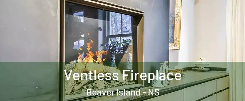  Ventless Fireplace Beaver Island - NS