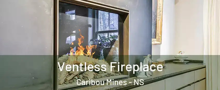  Ventless Fireplace Caribou Mines - NS