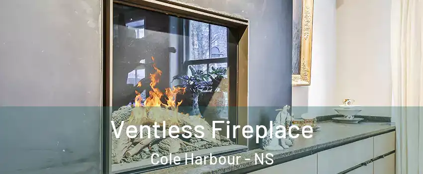  Ventless Fireplace Cole Harbour - NS