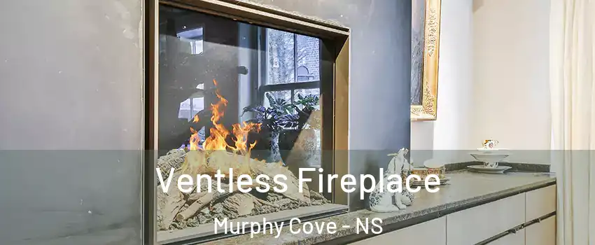  Ventless Fireplace Murphy Cove - NS