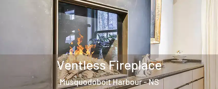  Ventless Fireplace Musquodoboit Harbour - NS