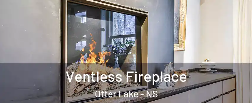  Ventless Fireplace Otter Lake - NS