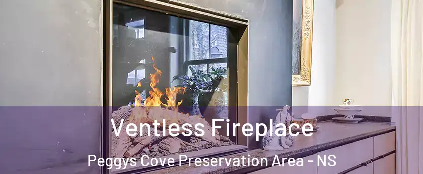  Ventless Fireplace Peggys Cove Preservation Area - NS