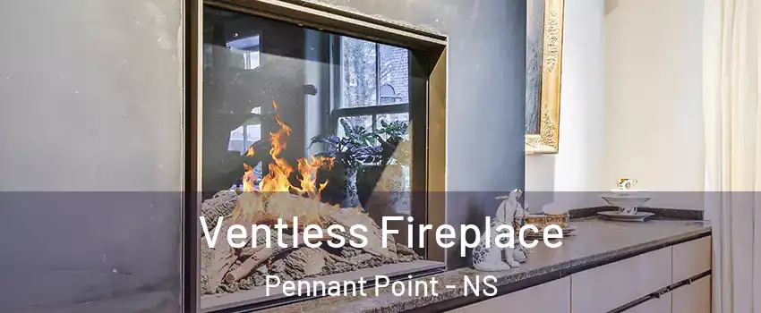  Ventless Fireplace Pennant Point - NS