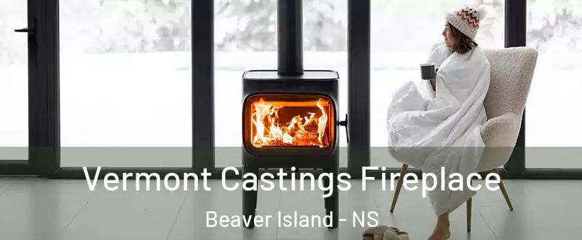  Vermont Castings Fireplace Beaver Island - NS