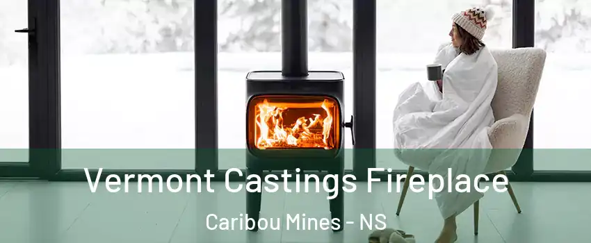  Vermont Castings Fireplace Caribou Mines - NS