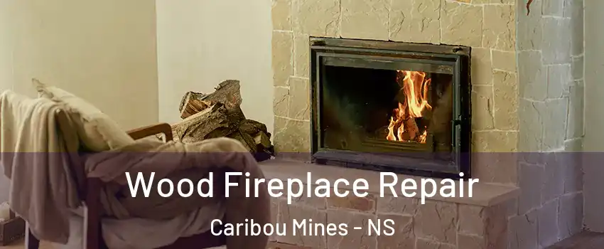  Wood Fireplace Repair Caribou Mines - NS