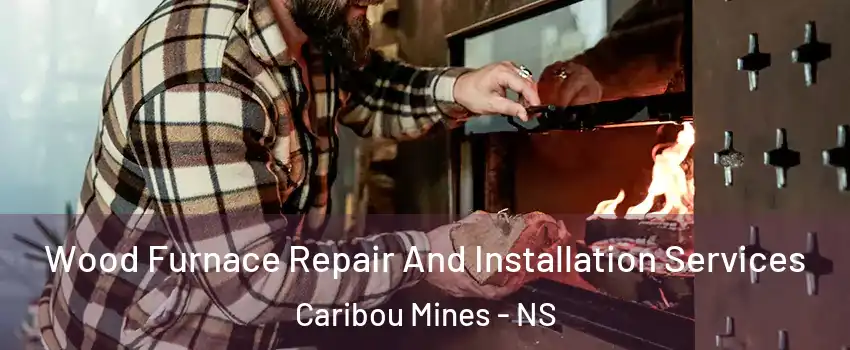  Wood Furnace Repair And Installation Services Caribou Mines - NS