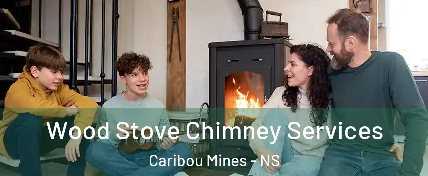  Wood Stove Chimney Services Caribou Mines - NS